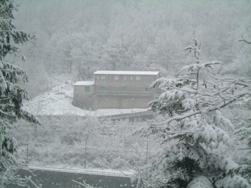  Image name: DSCF5071.JPG 
 width: 512 pixel 
 height: 384 pixel 
 Size: 55455 bytes 
 Click to enlarge 